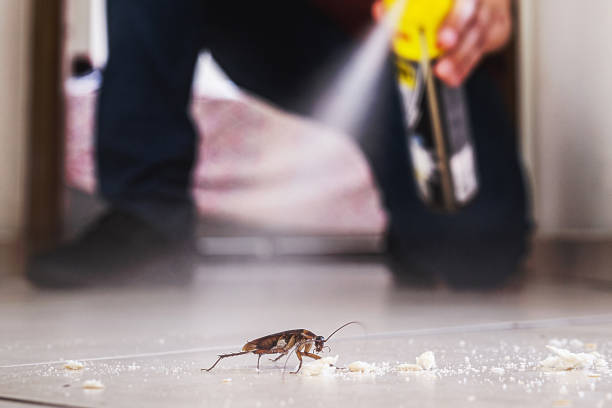 Best Best Pest Control Companies  in Steele Creek, AK